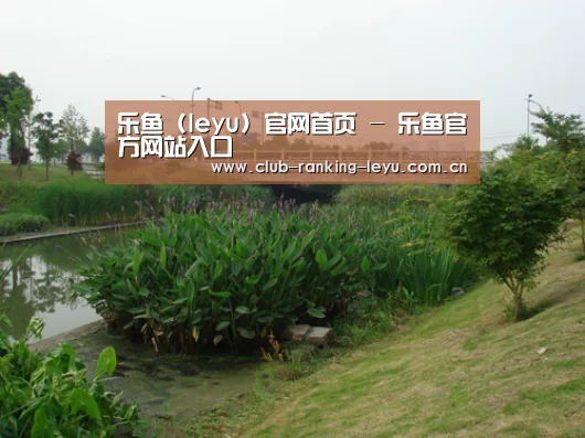 案例展示四(图1)