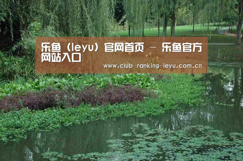 案例展示一(图1)