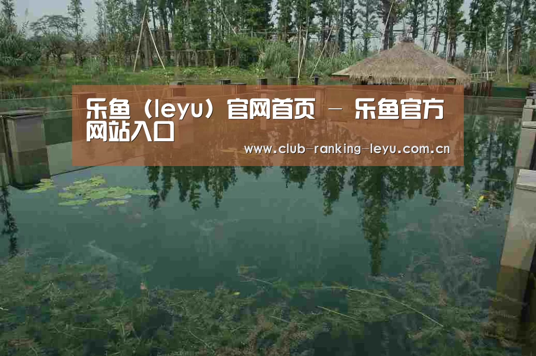 案例展示二(图1)