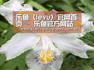 产品名称二